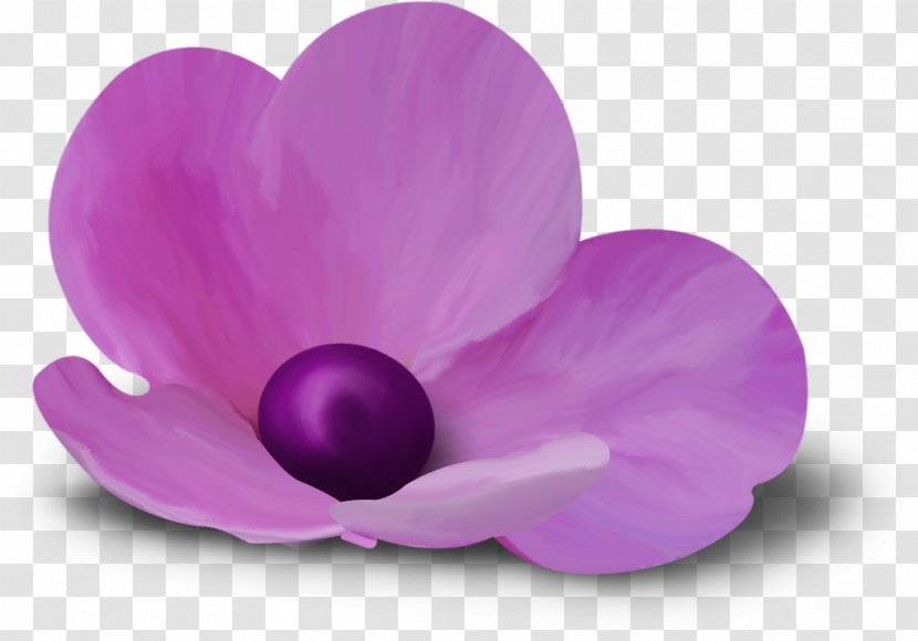 Flower Petal Clip Art - Magenta Transparent PNG