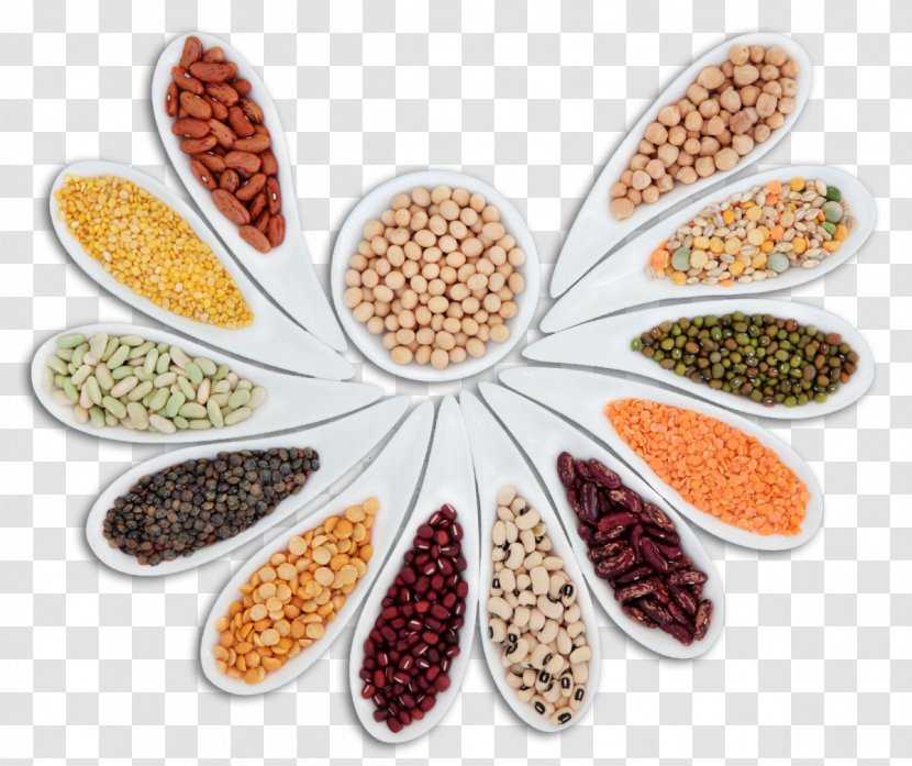Dal Vegetarian Cuisine International Year Of Pulses Legume Spice - Green Bean - Rice Grains Transparent PNG