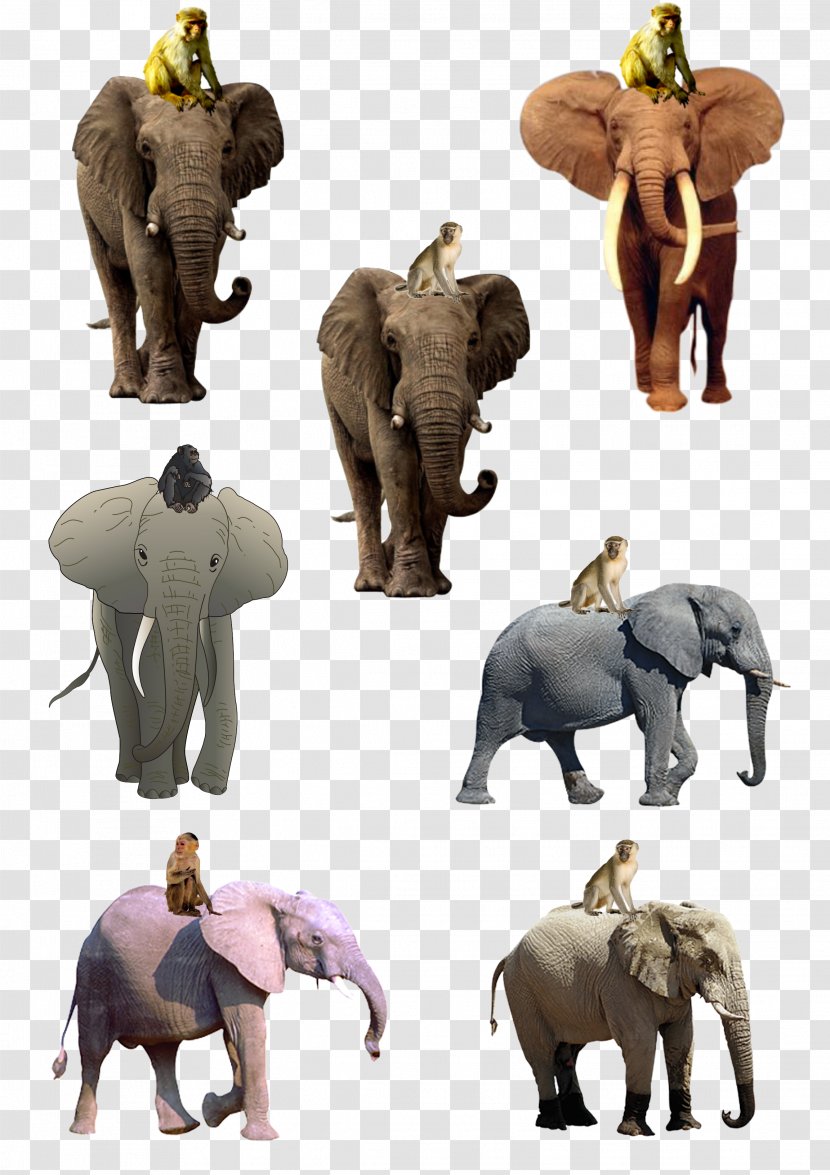 African Elephant Indian Monkey Drawing - Elephants And Mammoths - Creative Transparent PNG