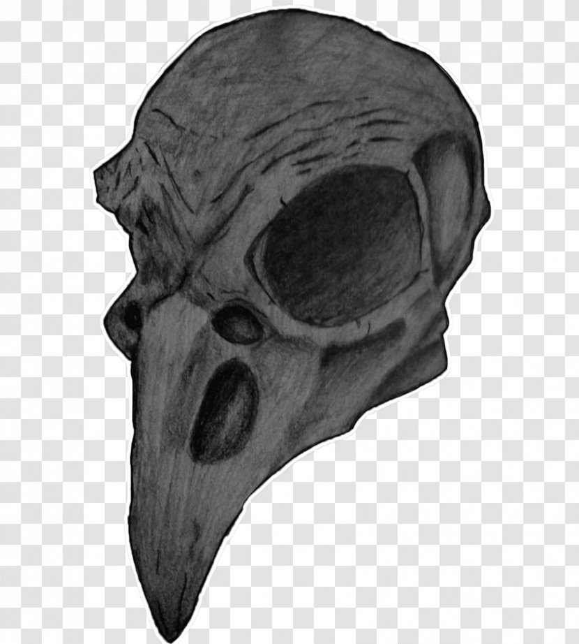 Human Skull Symbolism Bird Nest Art Transparent PNG
