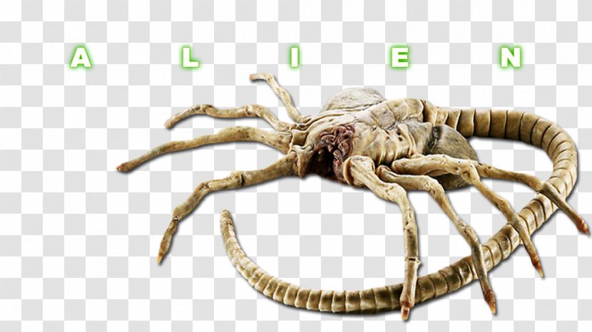 Alien YouTube Extraterrestrial Life Face Hugger Predator - Arthropod Transparent PNG