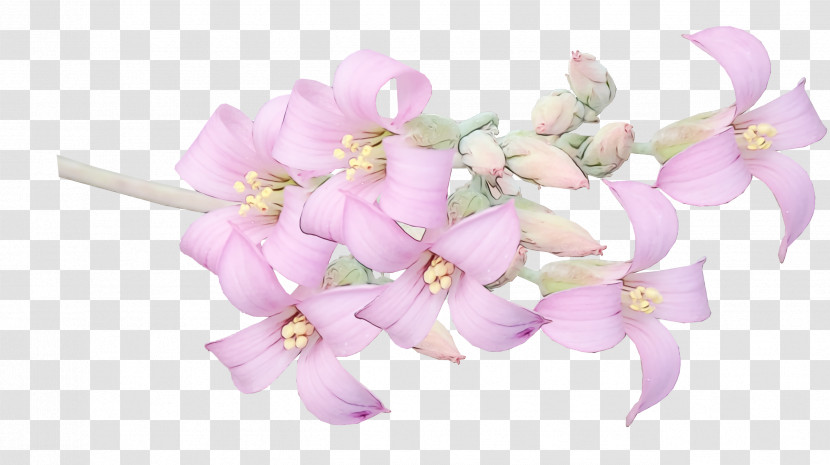 Flower Bouquet Transparent PNG