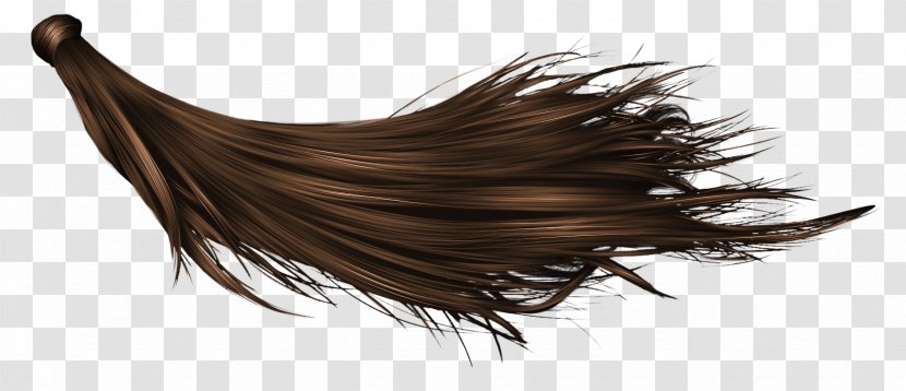 Hairstyle Wig - Long Hair Transparent PNG