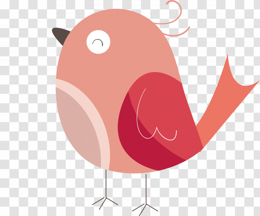 Beak Birds Water Bird Science Biology Transparent PNG