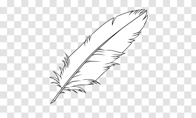 Feather Drawing Coloring Book Clip Art Bird - Pens Transparent PNG