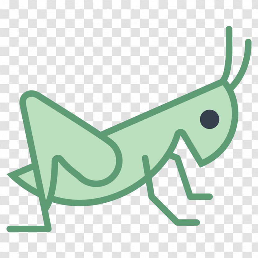 Grasshopper Clip Art - Insect Transparent PNG