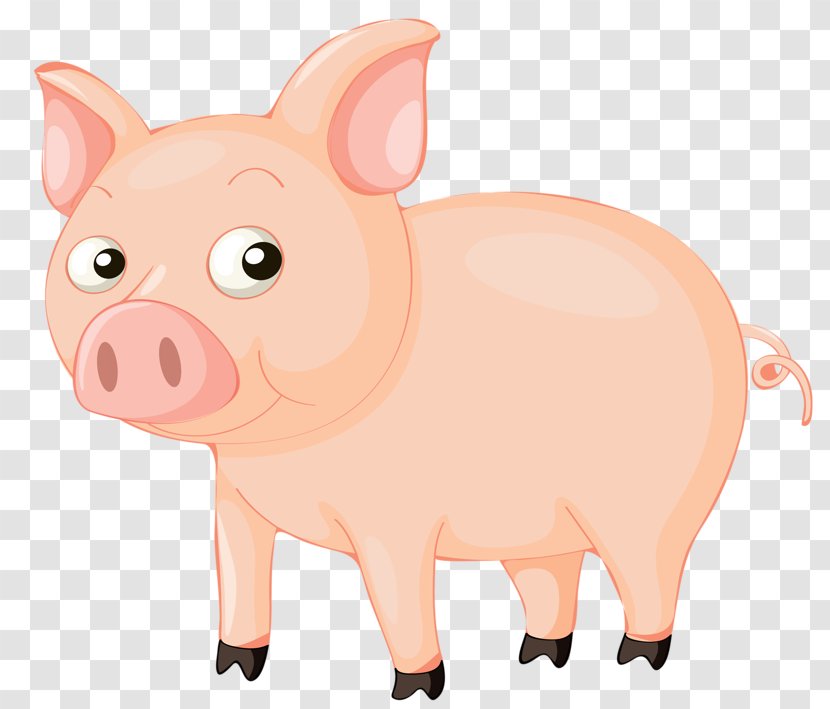 Vietnamese Pot-bellied Wilbur - Mammal - Cartoon Pig Transparent PNG
