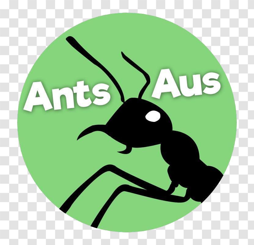 Argentine Ant Aus Ants Ant-keeping Messor - Myrmecia - Australia Transparent PNG