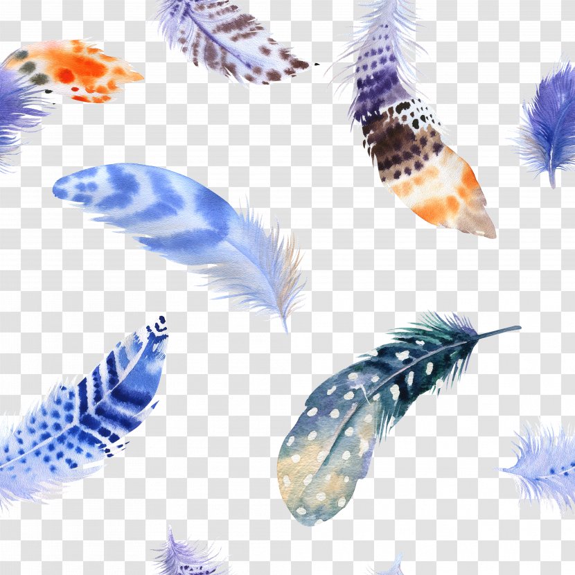 Bird Feather Watercolor Painting Drawing - Pretty Collection Transparent PNG