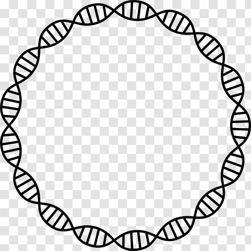 DNA Nucleic Acid Double Helix Cell Clip Art - Dna Transparent PNG