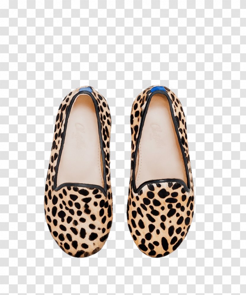 Footwear Shoe Beige Slipper Slingback - Ballet Flat - Court Mary Jane Transparent PNG