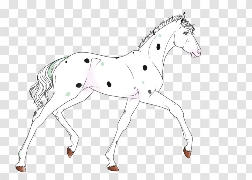 Foal Mane Stallion Colt Mare - Bridle - Mustang Transparent PNG