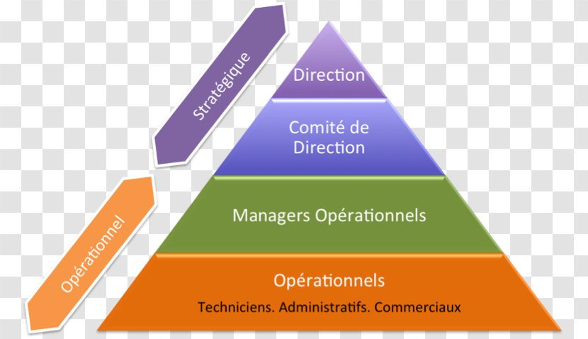 Management Stratégique Organization Natural Environment Orange S.A. - Structural Combination Transparent PNG