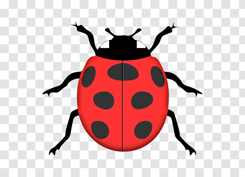 Ladybird Silhouette Stencil Clip Art - Drawing Transparent PNG