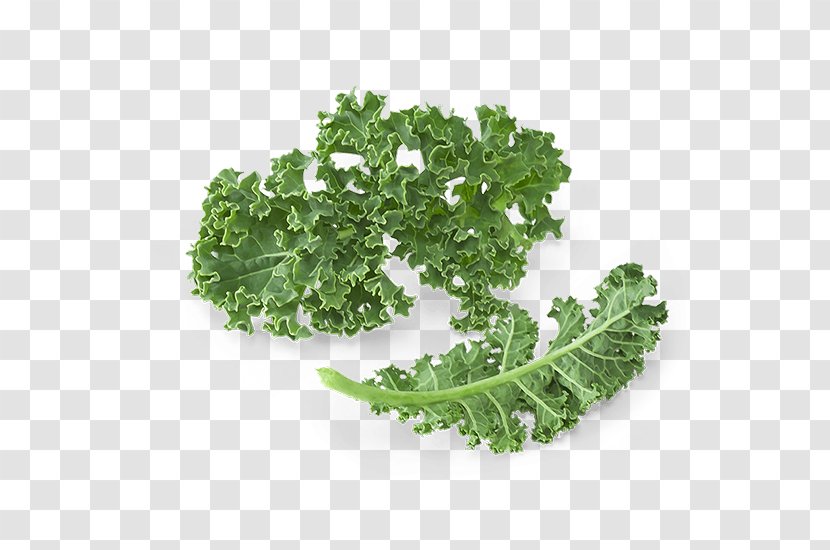 Smoothie Juice Kale Leaf Vegetable Food - Fotosearch Transparent PNG