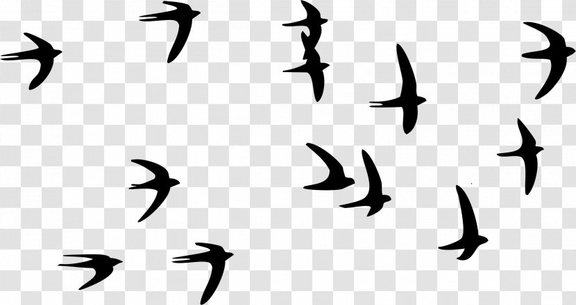 Swallow Bird Paper Tattoo Flock - Wall Decal - Of Birds Transparent PNG