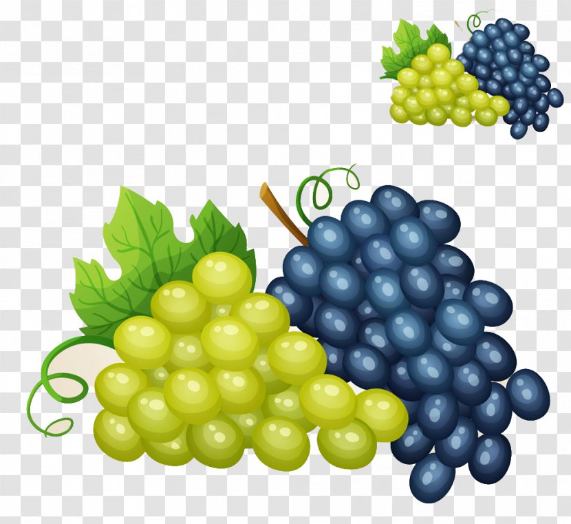 Wine Grape Royalty-free Illustration - Plant - Two Bunches Of Grapes Transparent PNG