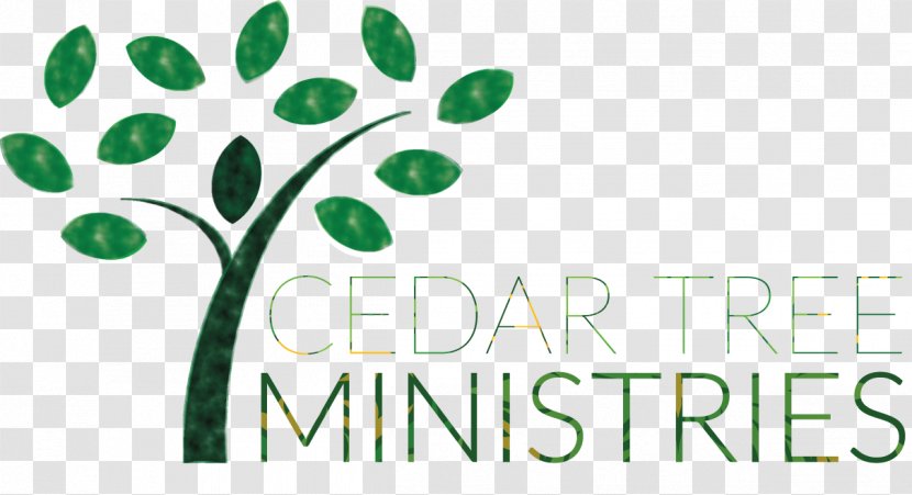 Spiritual Direction Logo Brand Leaf Spirituality - Centuries - Cedar Tree Transparent PNG