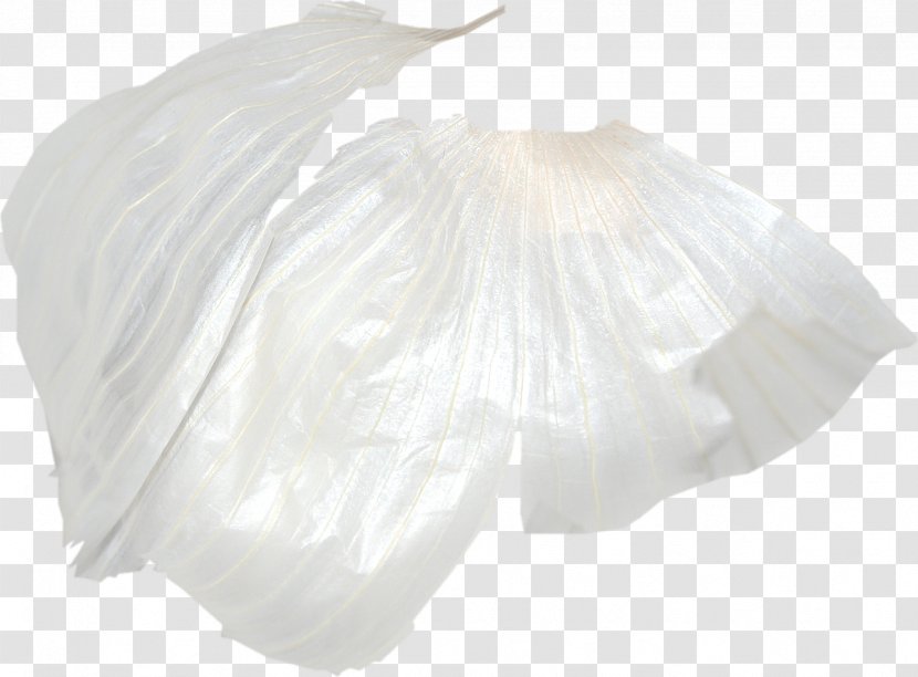 White Garlic Download - Skin Transparent PNG