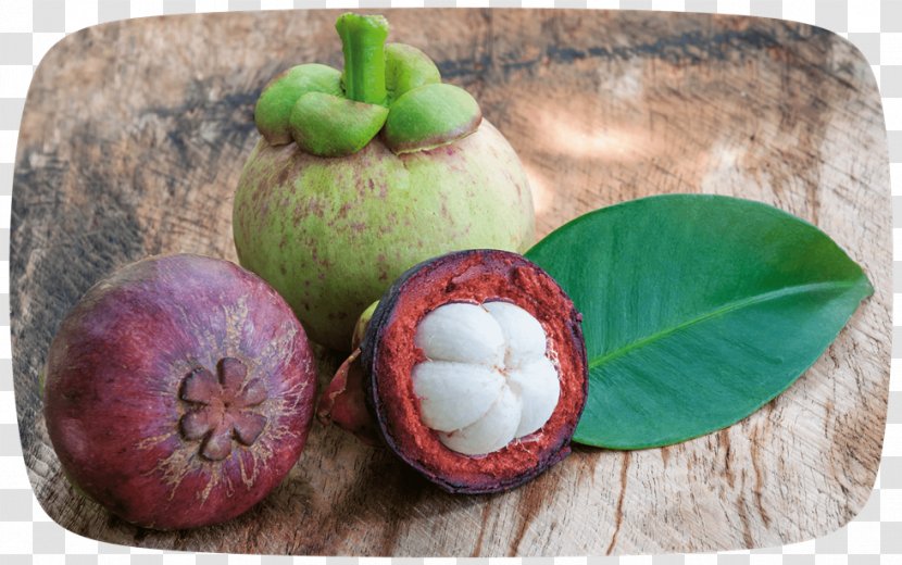 Biofach South East Asia Organic Food Purple Mangosteen - 2018 Transparent PNG