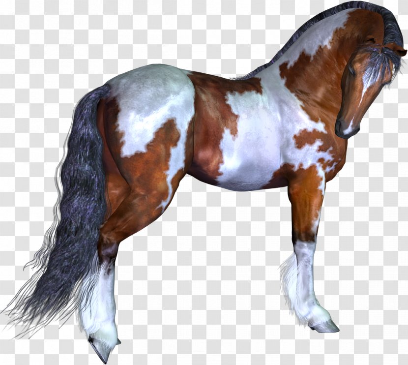 Mustang Stallion Pony Animal Horse Harnesses - Horses Transparent PNG