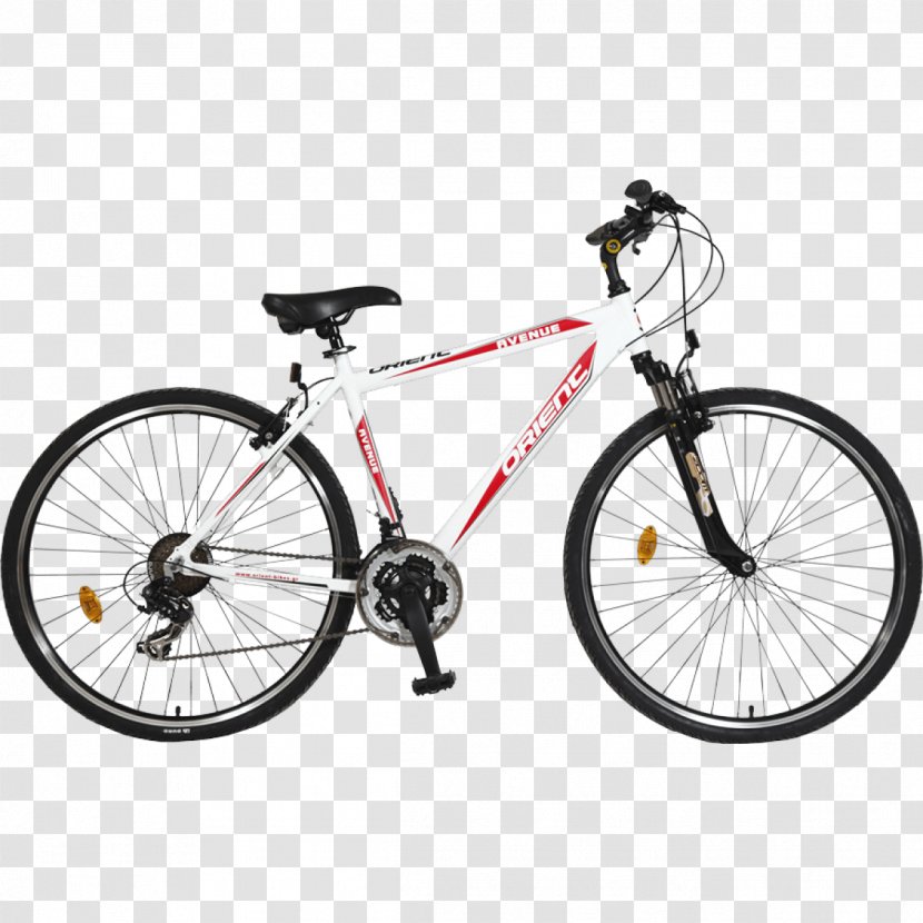 Road Bicycle Mountain Bike Shop Cyclo-cross - Bmx Transparent PNG