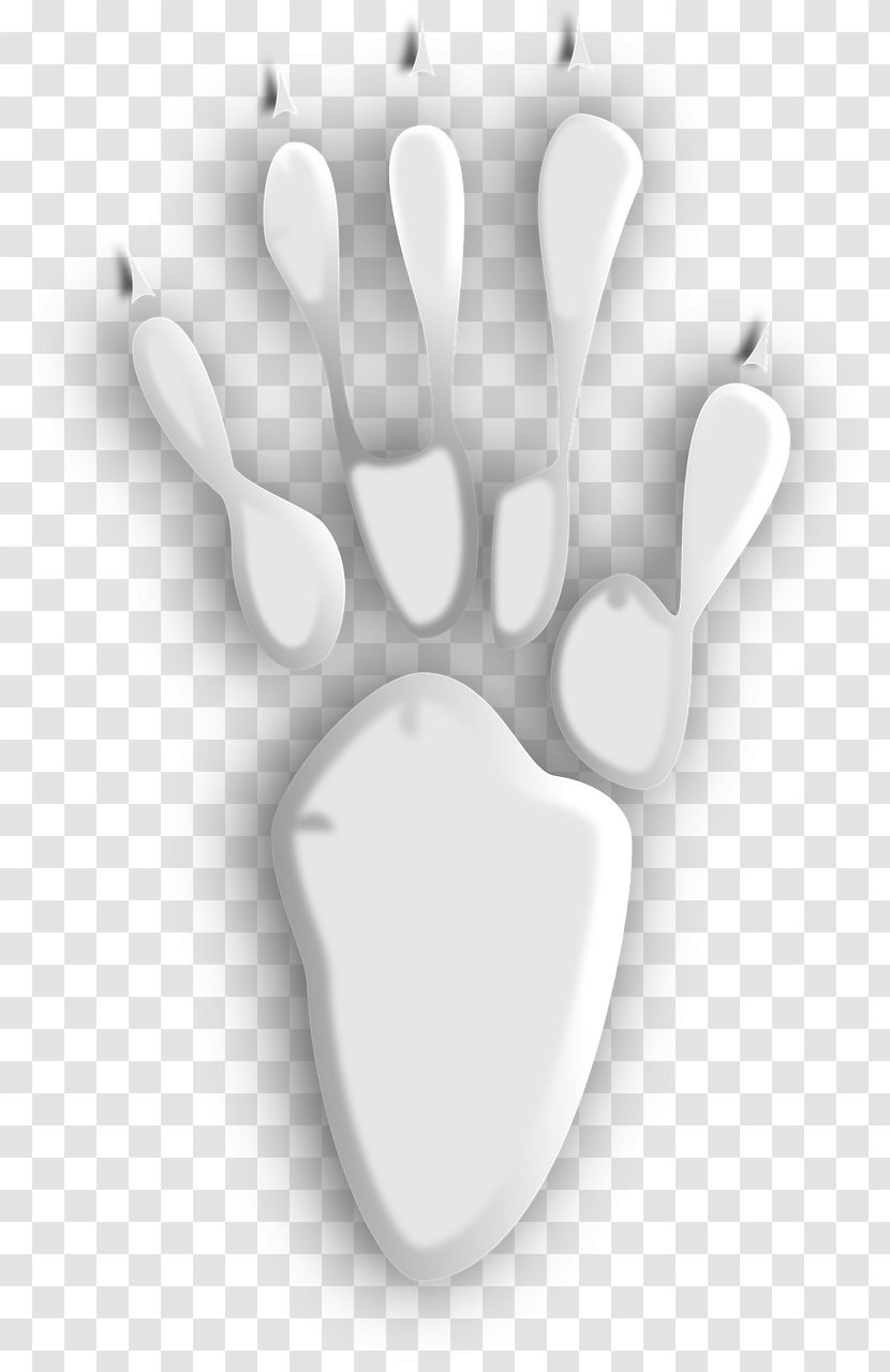 Bear Footprint Animal Track Clip Art - Print - White Sharp Footprints Transparent PNG
