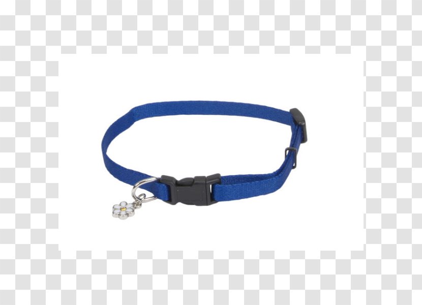 Leash Dog Collar Harness - Pet Transparent PNG