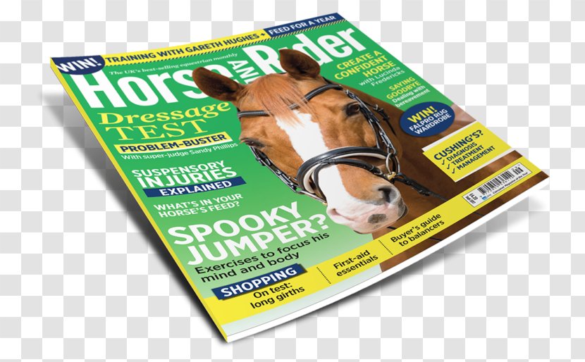 Horse&Rider Equestrian Snout Magazine - Best Seller Transparent PNG