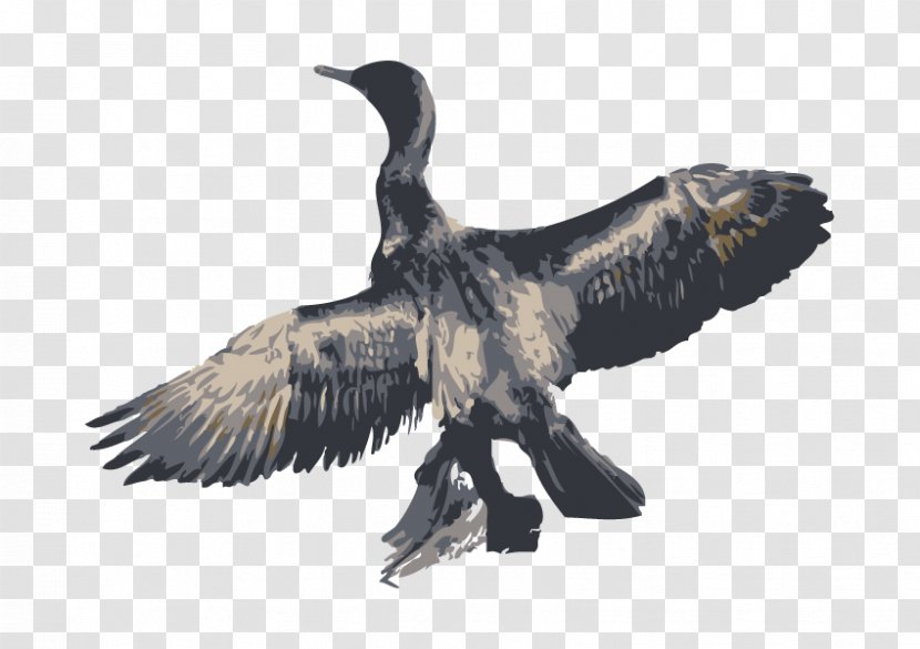 Bird Great Cormorant - Animal - Dead Fish Transparent PNG