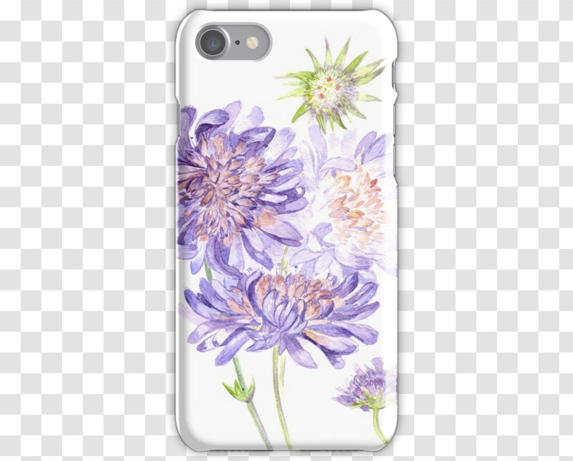 IPhone 7 Telephone 6S Apple Logo - Flower - Meadow Transparent PNG