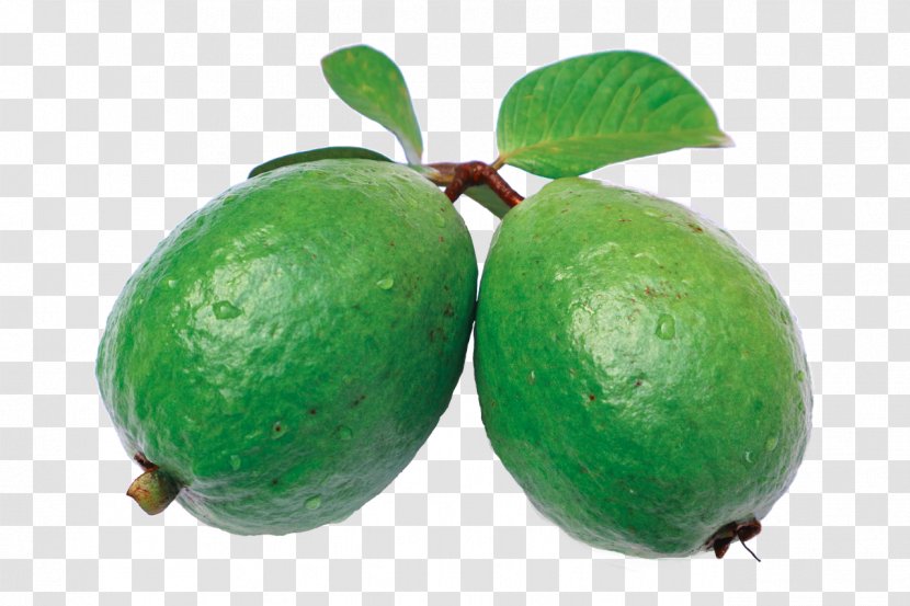 Juice Common Guava Auglis - Feijoa Transparent PNG