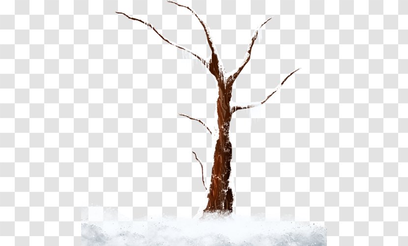 Tree Branch Snow Clip Art - Winter Transparent PNG