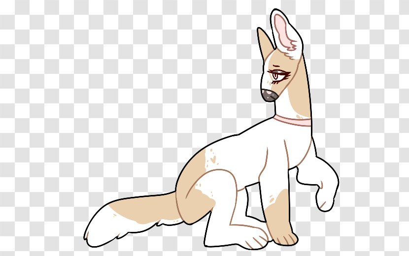 Whiskers Cat Dog Breed Macropodidae - Animal Figure Transparent PNG