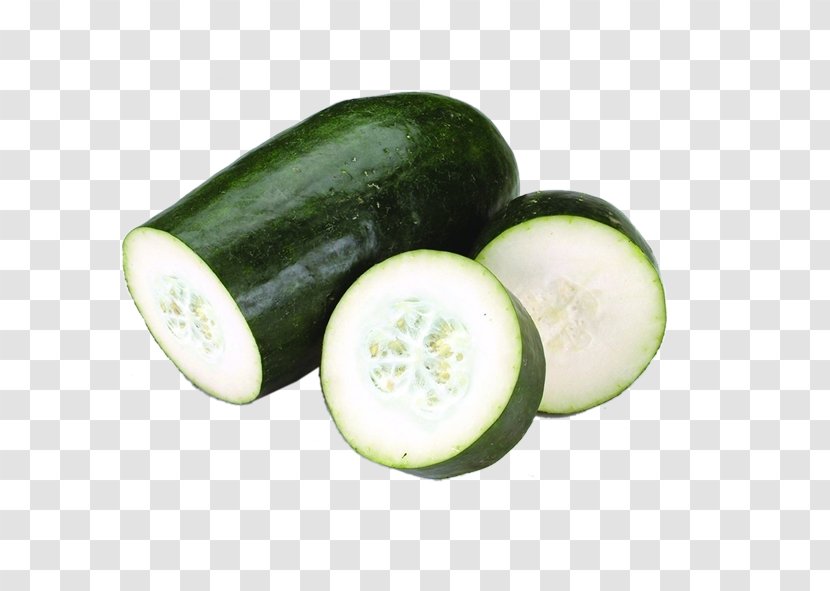 Melon Vegetable Honeydew Wax Gourd Cucumber - Food - Vegetables And Transparent PNG