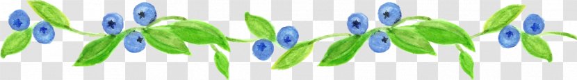 Desktop Wallpaper Grasses Commodity Close-up - Plant - Watercolor Berry Transparent PNG