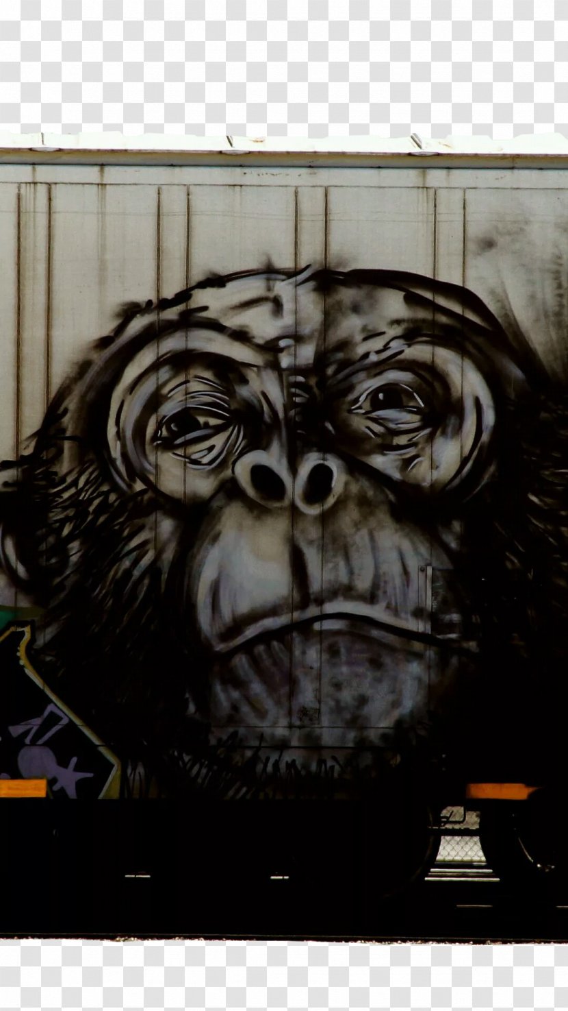 Freight Train Graffiti Wall Illustration - Monkey On The Transparent PNG