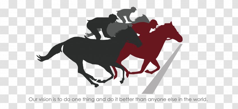 The Kentucky Derby Mustang Equestrian Mountaineer Casino, Racetrack & Resort Horse Racing - Brand Transparent PNG