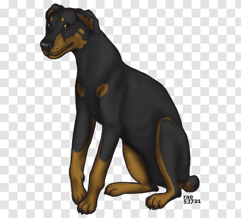 Dobermann German Pinscher Miniature Manchester Terrier Puppy - Snout - Pride Of Lions Transparent PNG