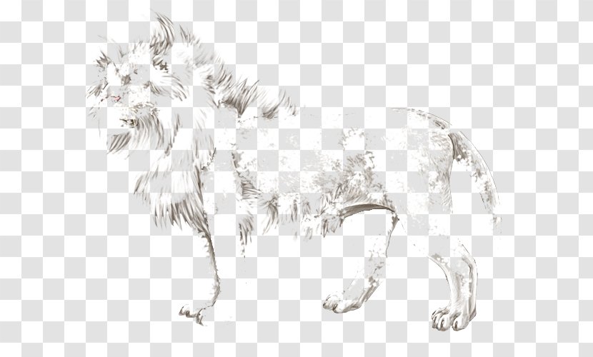 Dog Breed Lion Big Cat Sketch - Tail Transparent PNG