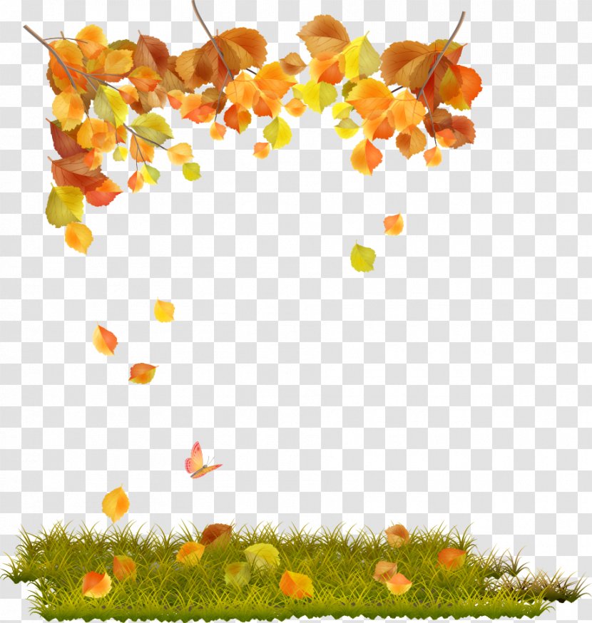 Autumn Leaf Computer File - Floral Design - Vector Elements Transparent PNG