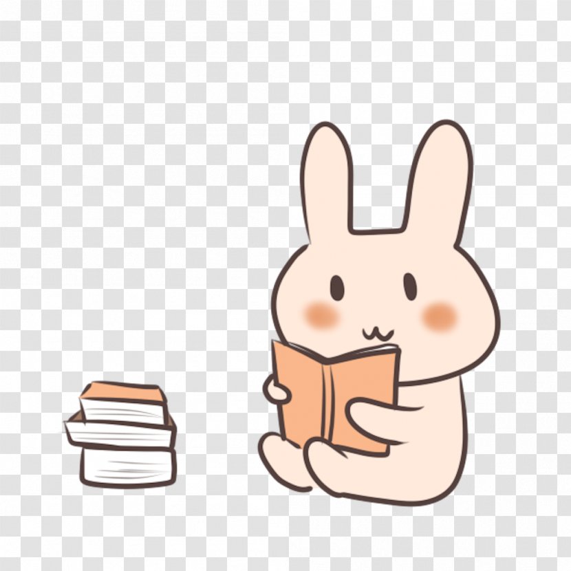Nikko Reading Domestic Rabbit Book National Primary School - Vertebrate Transparent PNG