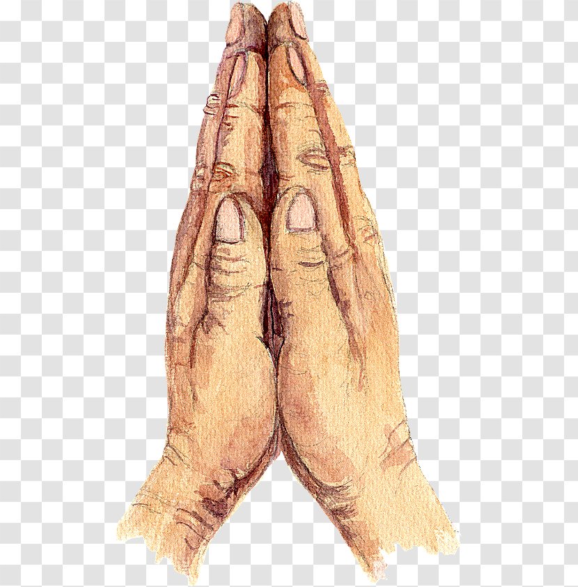 Praying Hands Prayer - Tree - Check Hand Transparent PNG