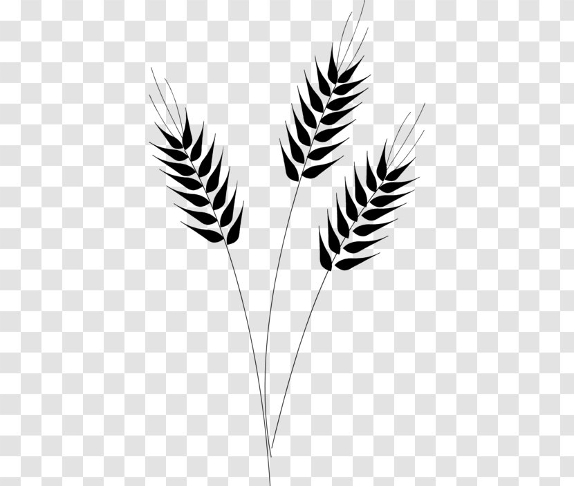 Cereal Grain Common Wheat Clip Art - Leaf - WHEAT CROP Transparent PNG