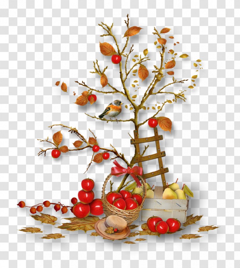 Autumn - Christmas Ornament - Fruit Transparent PNG