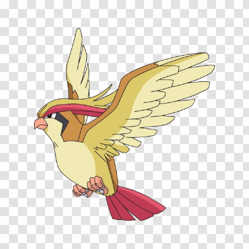 Ash Ketchum Pidgeotto Pokémon Desktop Wallpaper - Pokemon Transparent PNG