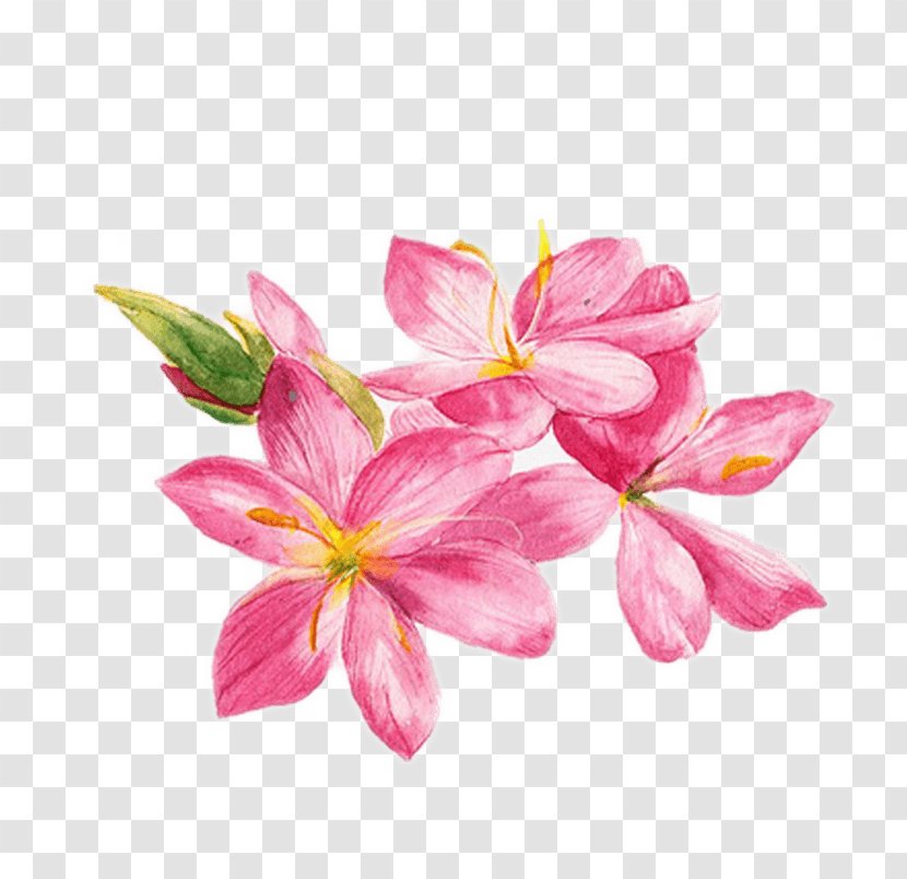 Watercolor Painting Watercolor: Flowers Drawing Illustration - Doodle Transparent PNG
