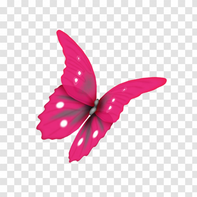 Butterfly Moth PhotoScape - Red - Pink Transparent PNG