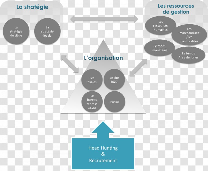 Recruitment Organizational Chart Empresa Human Resource Management - Back Office - Marketing Transparent PNG