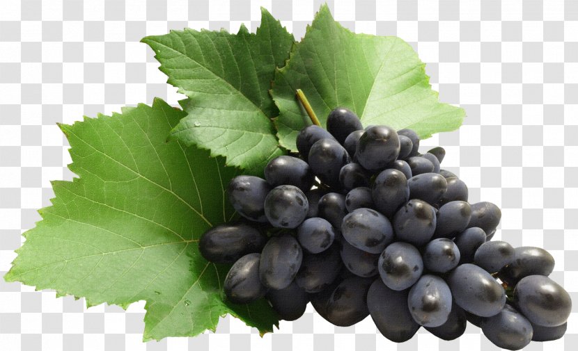 Kyoho Zante Currant Grape Clip Art - Plant - Grapes Transparent PNG